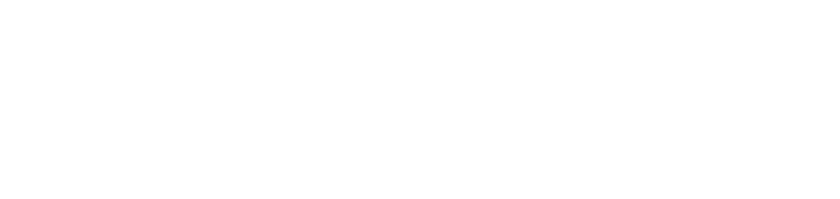 Scholtz Consulting